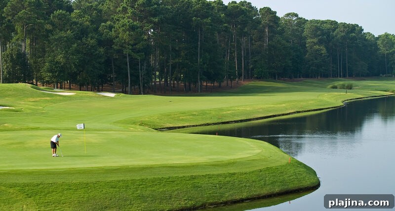 Myrtle Beach Golf