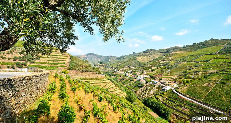 Douro Valley