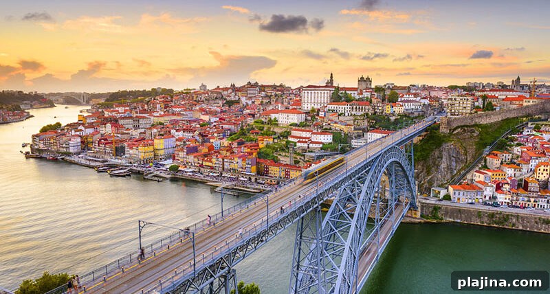 Dom Luis Bridge