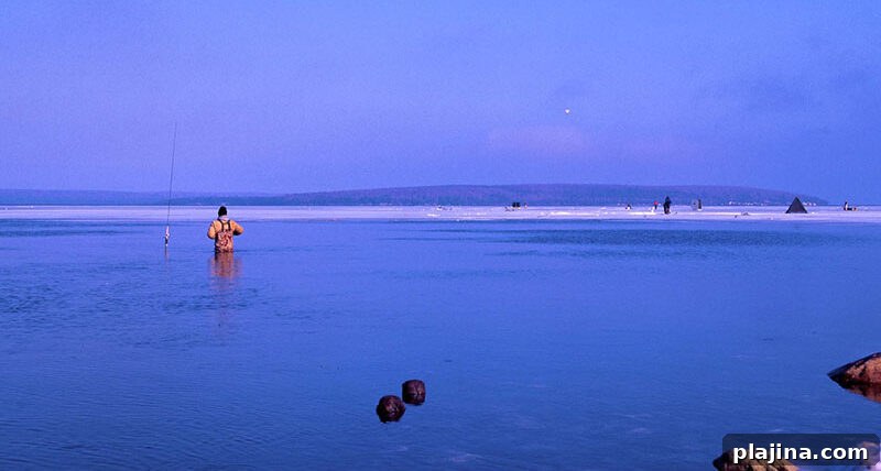 Lake Superior shoreline