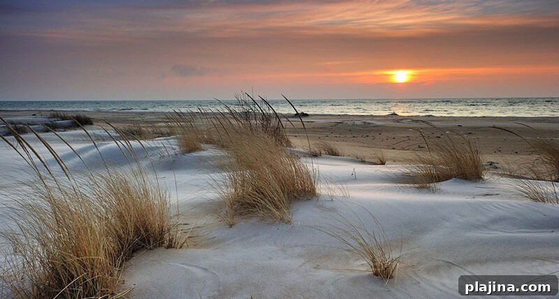 Tawas Point State Park