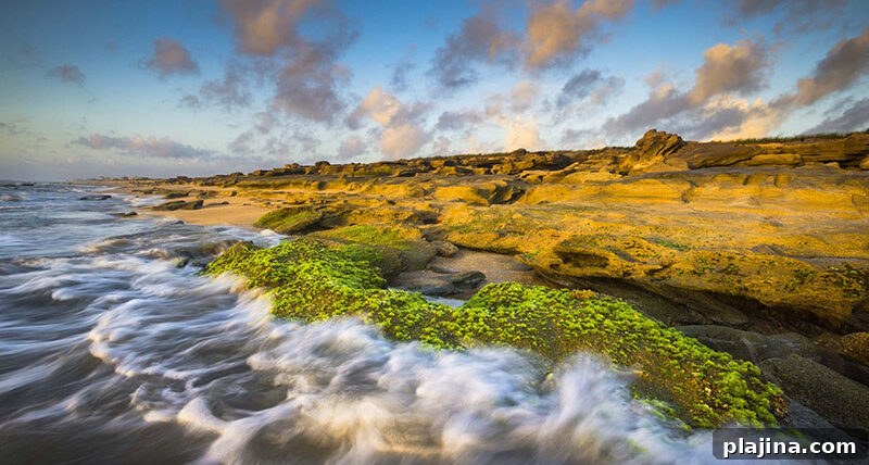 Washington Oaks State Park