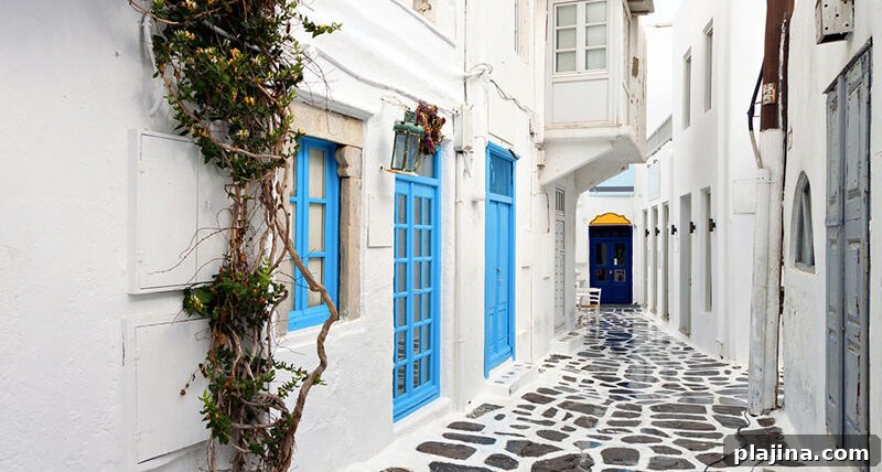 Mykonos nightlife