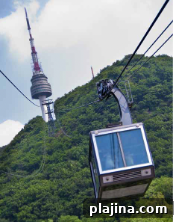 img 122249 1