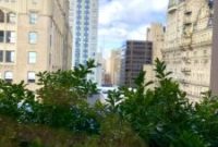Attico Rooftop Bar & Restaurant Review — Atmosphere, Menu & Tips