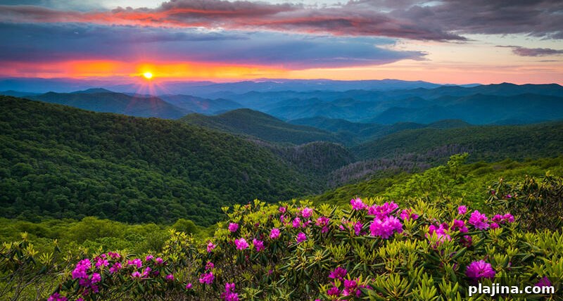 Blue Ridge Parkway