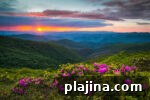 6 Reasons to Rediscover Travel in Asheville, North Carolina 4 img 122554 9
