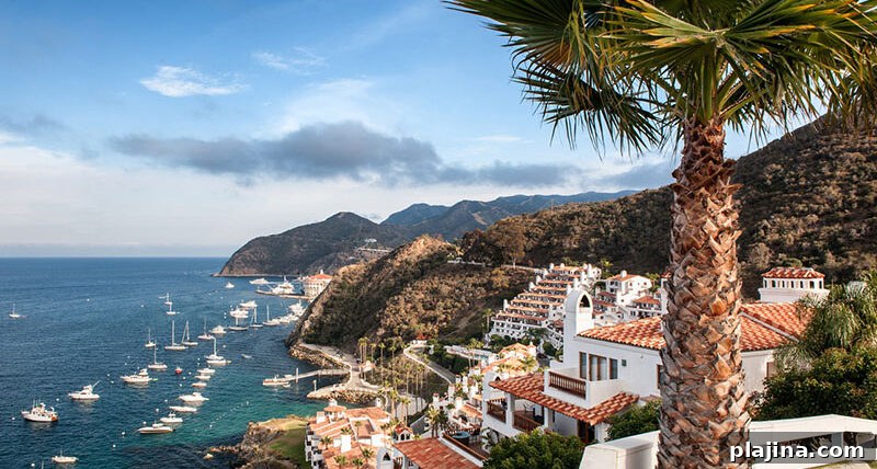 Avalon Bay