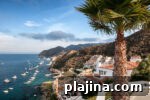 6 Reasons to Say Welcome Back to Travel in Catalina Island, CA 3 thumbnail 2