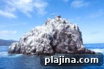 6 Reasons to Say Welcome Back to Travel in Catalina Island, CA 4 thumbnail 3