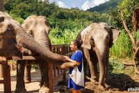 6 Compelling Reasons to Visit Chiang Mai, Thailand