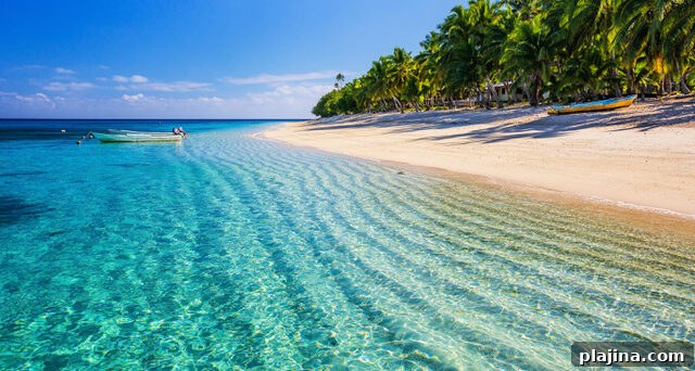Dravuni Island