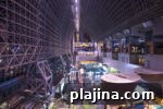 img 123366 10