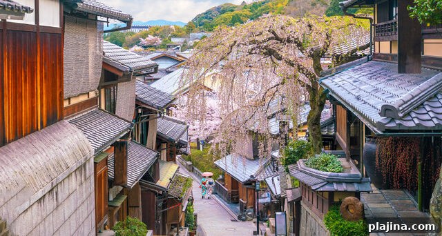 Higashiyama historical district