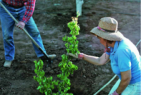 How Charitable Travel Benefits Local Communities and Destinations