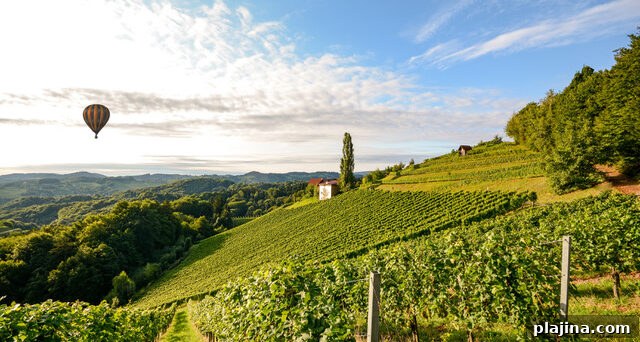 Vineyards