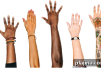 Airlines Boost Workplace Diversity with New Recruitment Strategies