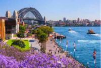 Sydney’s Sunlit Blend: Business Networking Meets Beach Culture