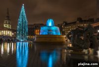 Top Christmas Tree Traditions Around the World