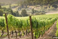 6 Compelling Reasons to Visit Eugene, Oregon on Your Next Trip