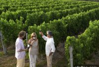 Luxury Wellness and Adventure Tours with TCS World Travel