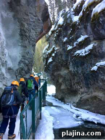 img 128435 1