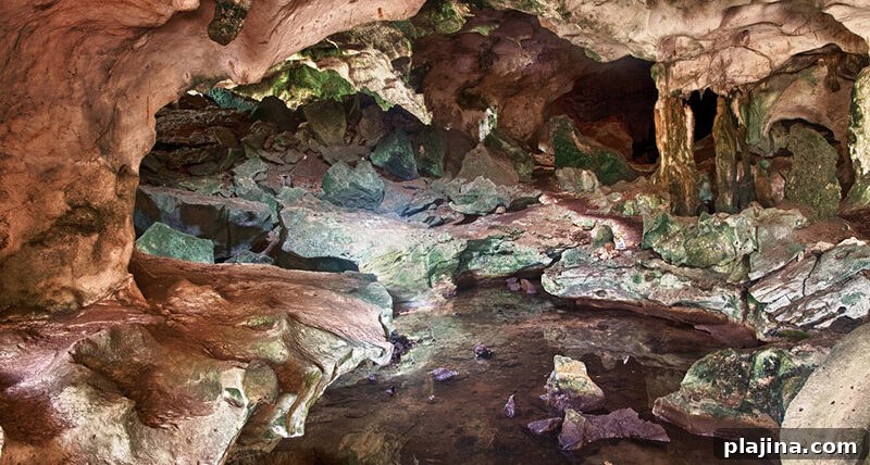 Conch Bar Caves