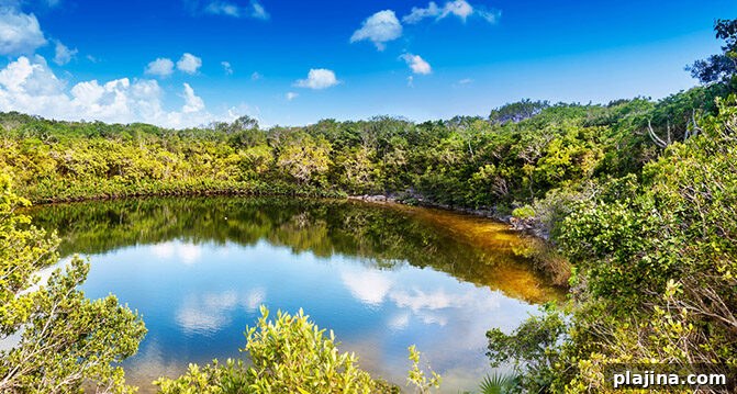 Cottage Pond sinkhole