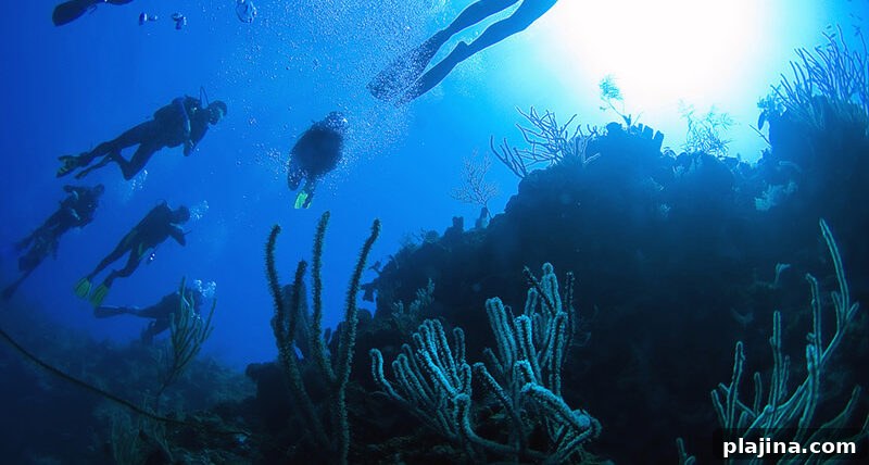 Scuba diving in Turks and Caicos
