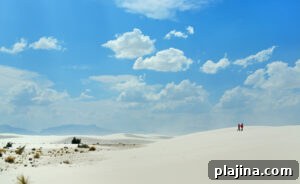 img 129342 1