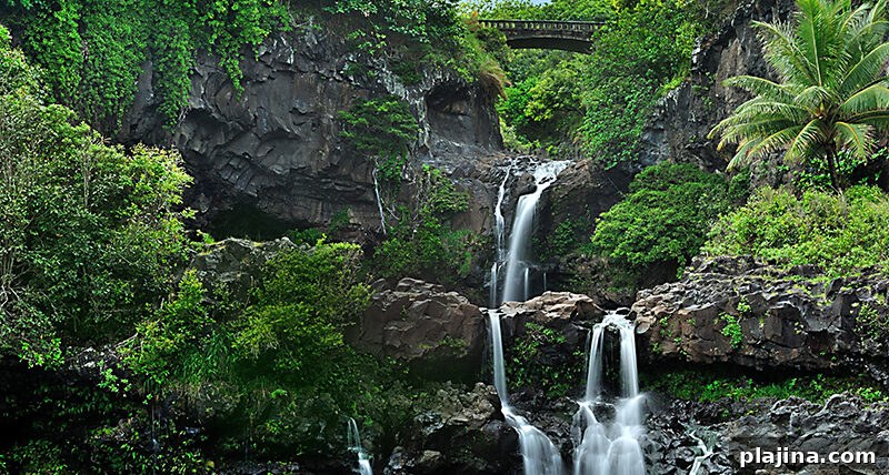 Pools of ‘Ohe’o