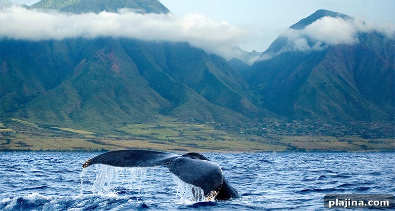 West Maui Mountains