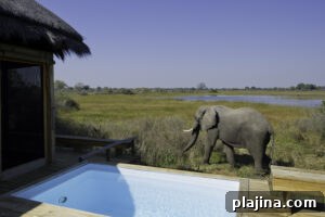 img 129480 1