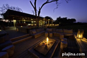 Wilderness Safari