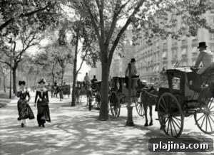 19th century NYC