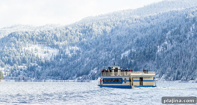 eagle watching on a boat