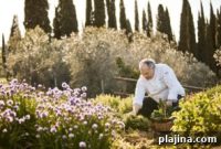 Como Hotels & Resorts 2022 Bucket-List Experiences