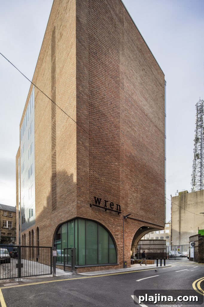 The Wren Dublin