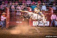 Top Idaho Events in 2022: Festivals, Concerts & Family Fun