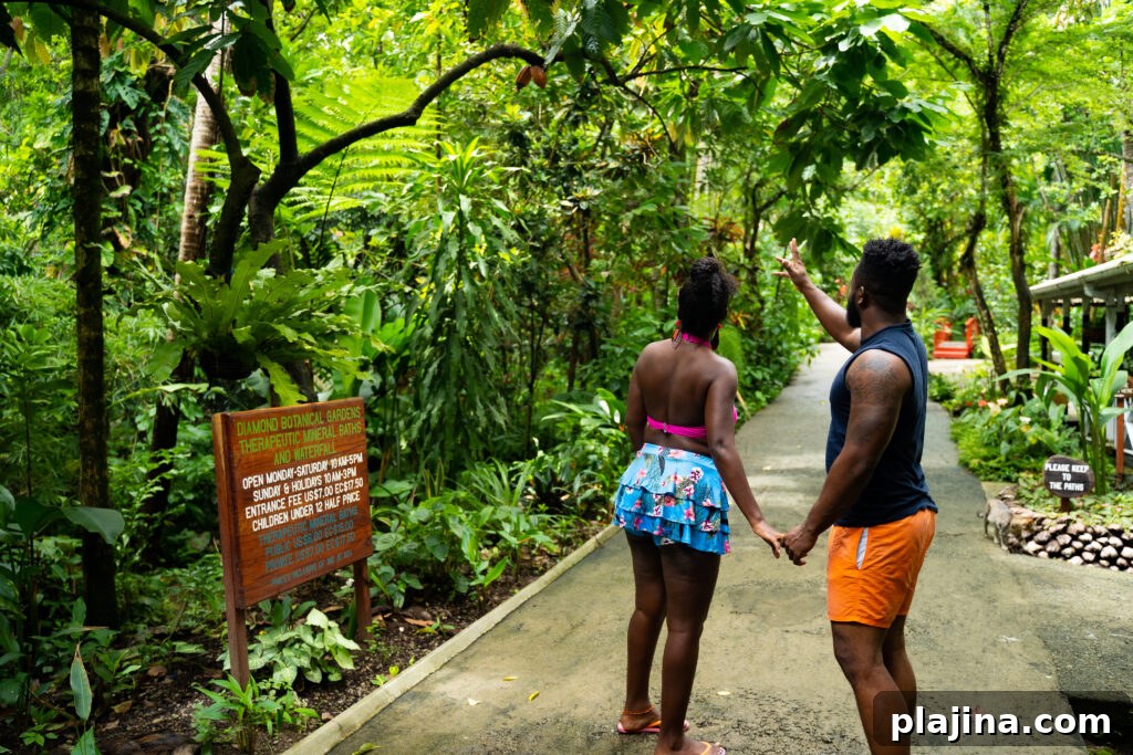 Saint Lucia gardens