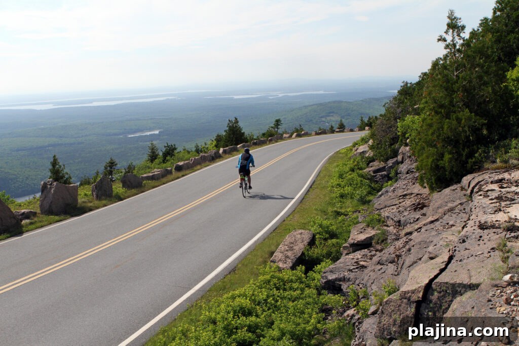 Acadia National Park