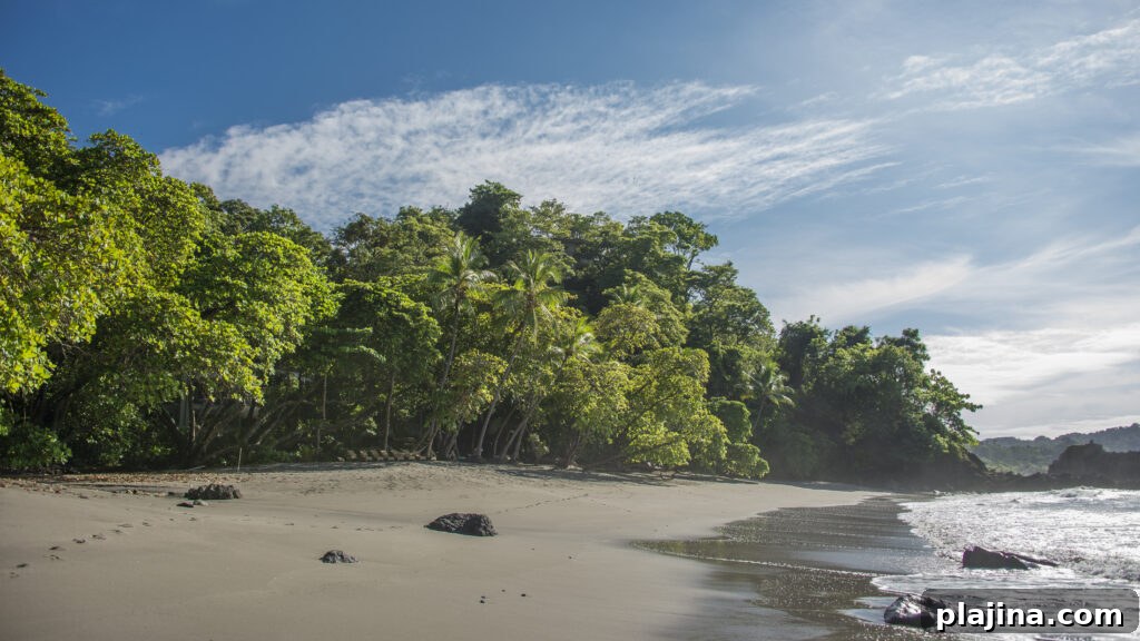 Playitas