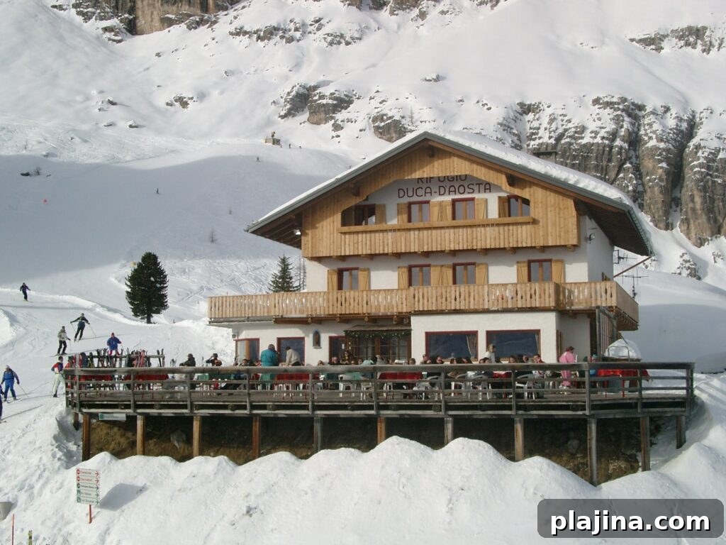 img 131799 1