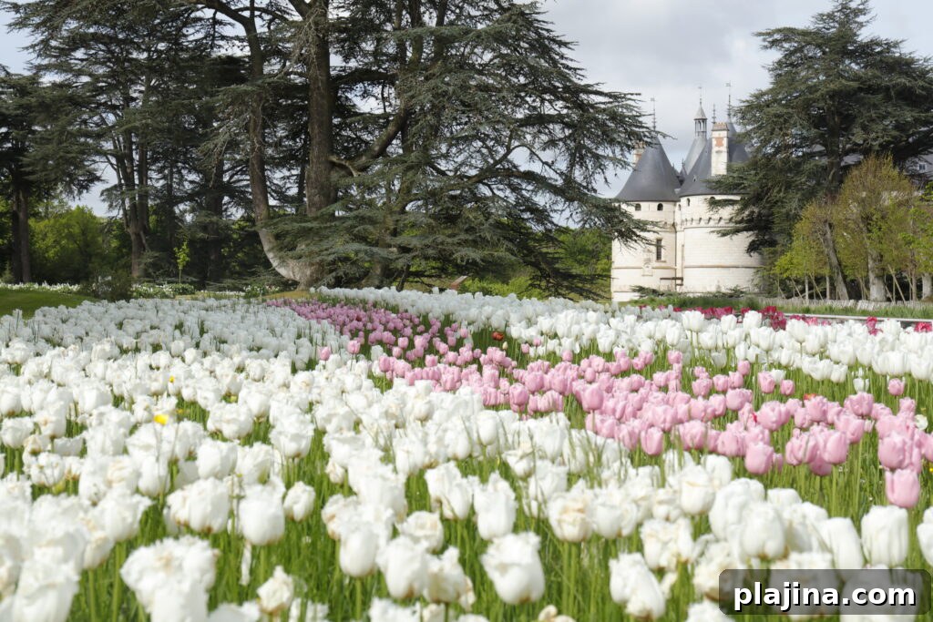 Chaumont