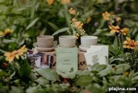 JW Marriott and Lily Kwong Unveil New Garden Collaboration