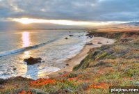 Unwind in Southern California’s SLO-CAL Region: Top Spots to Slow Down