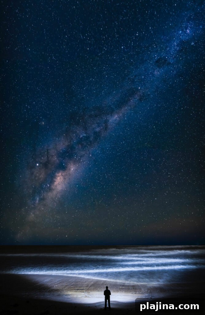 stars