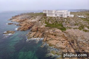 img 135635 2
