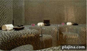 img 135733 1