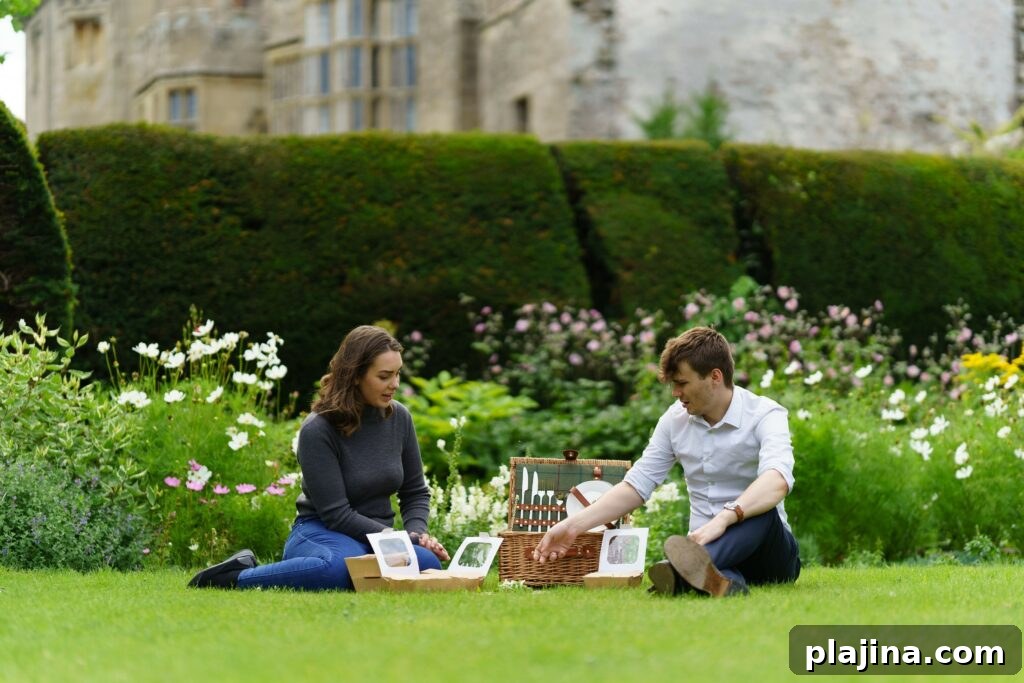 picnic